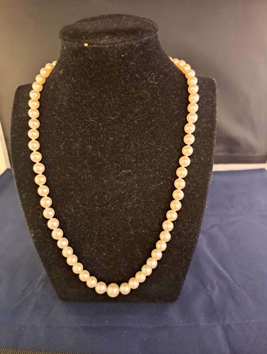 Proantic Collier De Perles