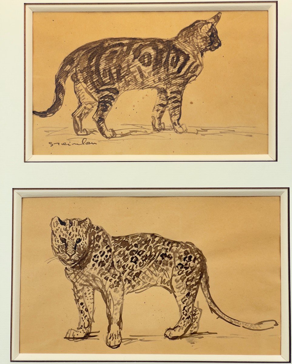 Théophile Alexandre STEINLEN - Chat et Panthère- dessin-photo-2