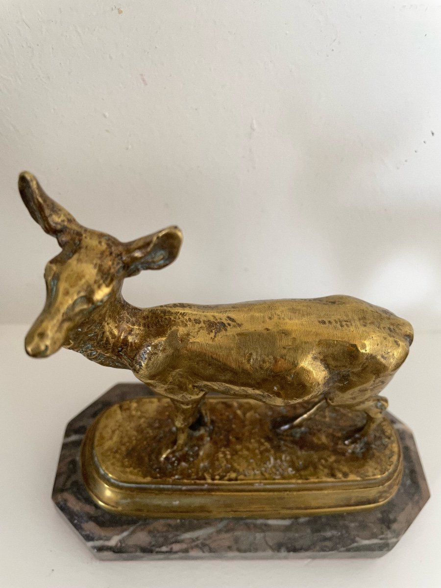Bronze Subject Representing A Doe-photo-5