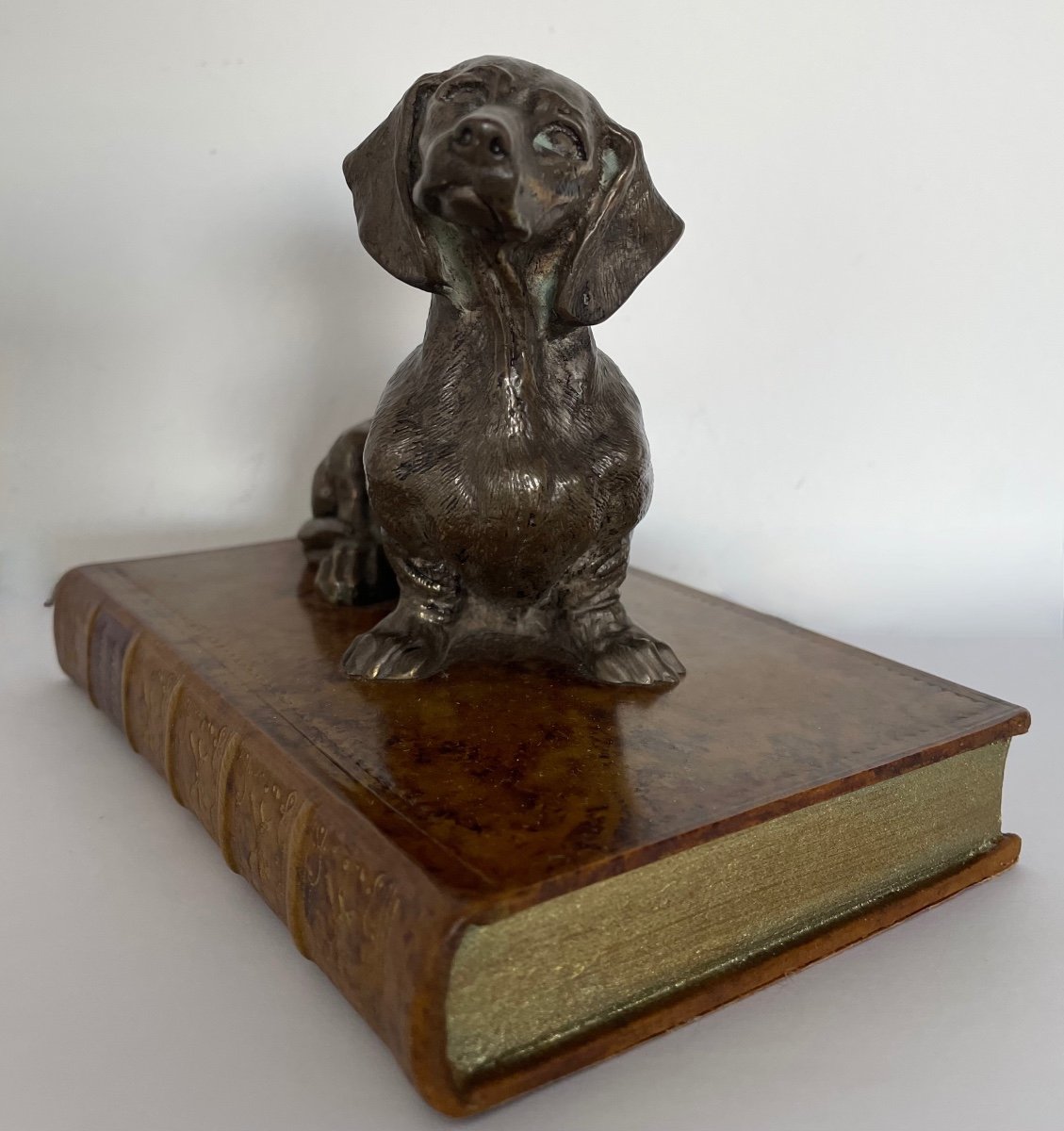 Dachshund Dog On Fake Electroplating Book-photo-2