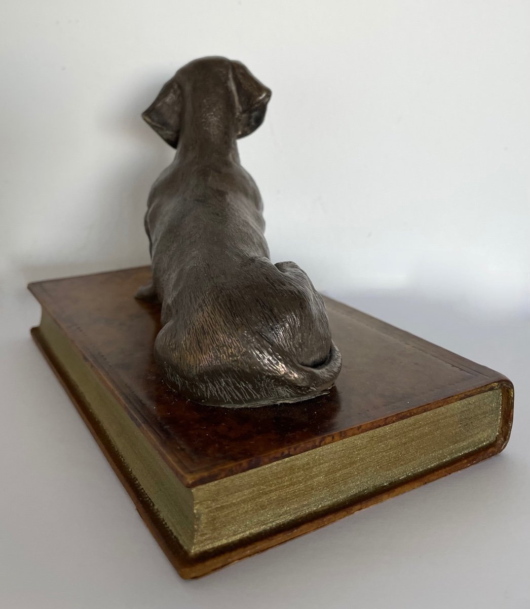 Dachshund Dog On Fake Electroplating Book-photo-1