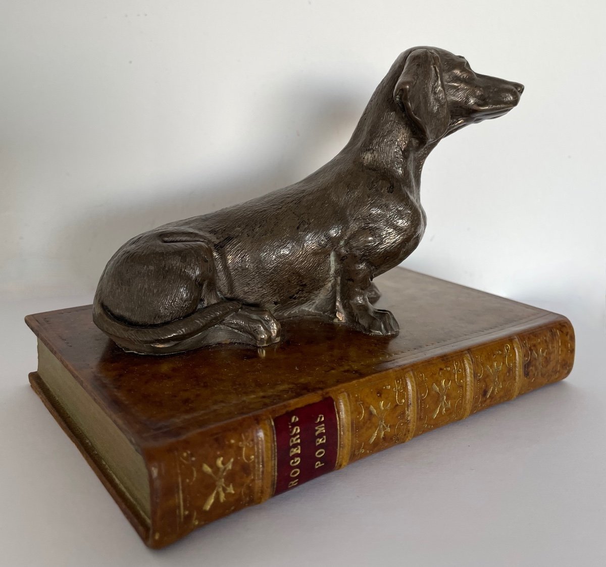 Dachshund Dog On Fake Electroplating Book-photo-5