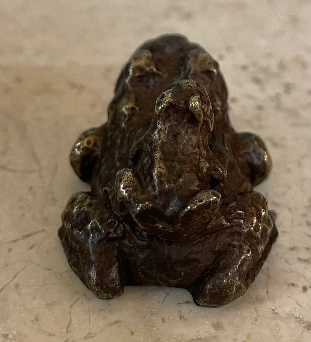 Sujet En Bronze la  Grenouille et le crapaud-photo-7