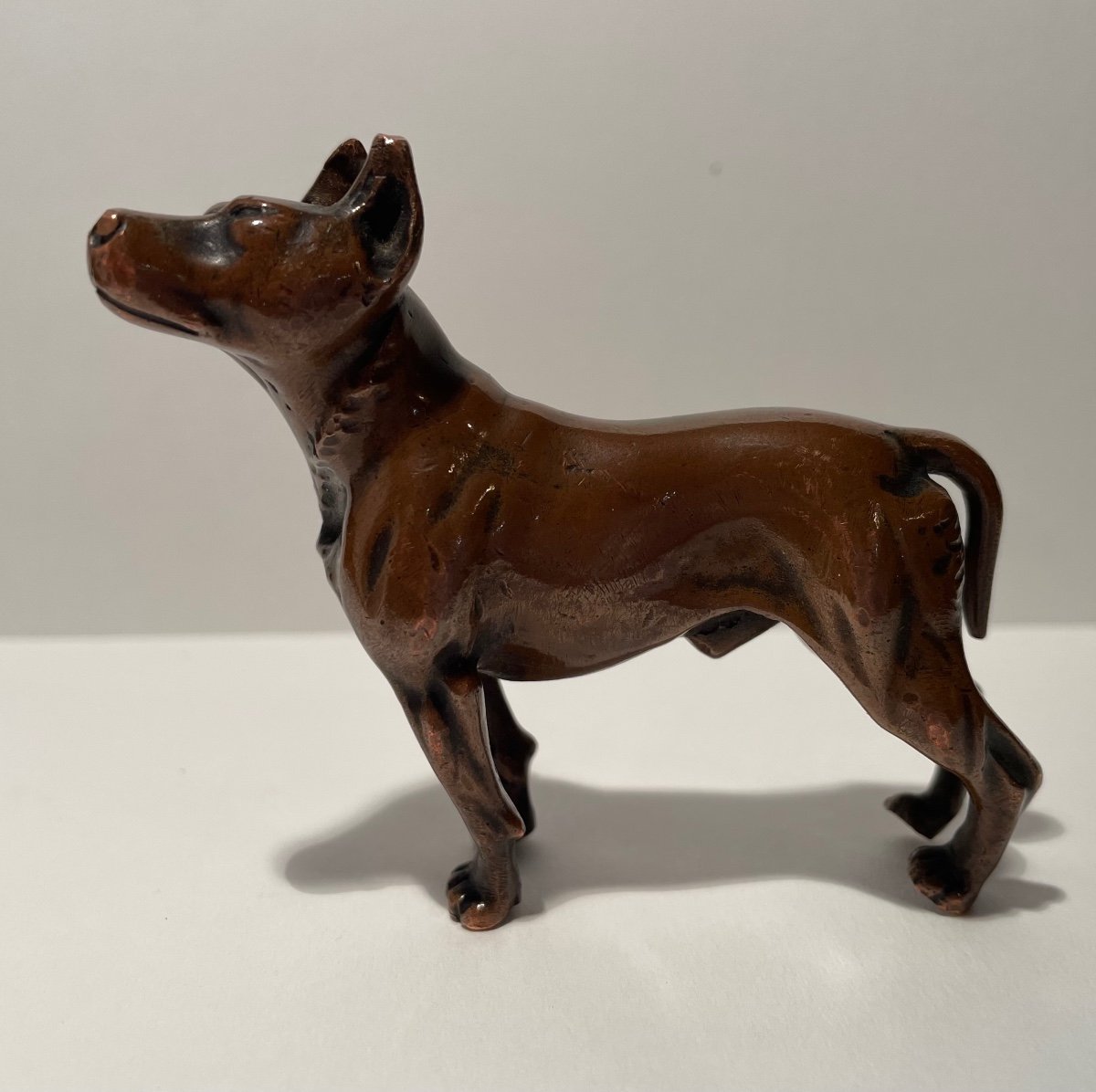 Bronze Subject Representing A Dog.-photo-2