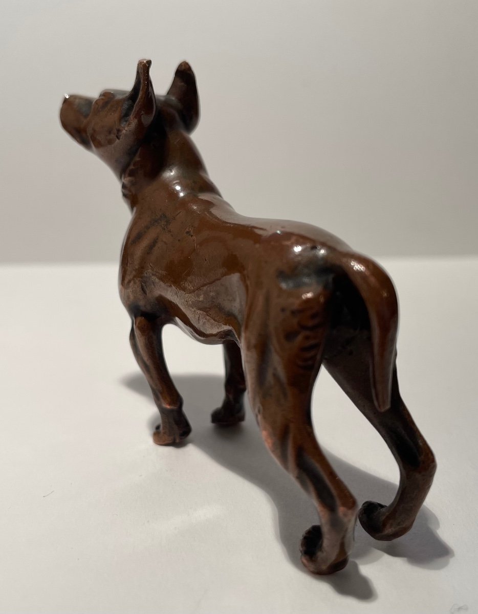 Bronze Subject Representing A Dog.-photo-3