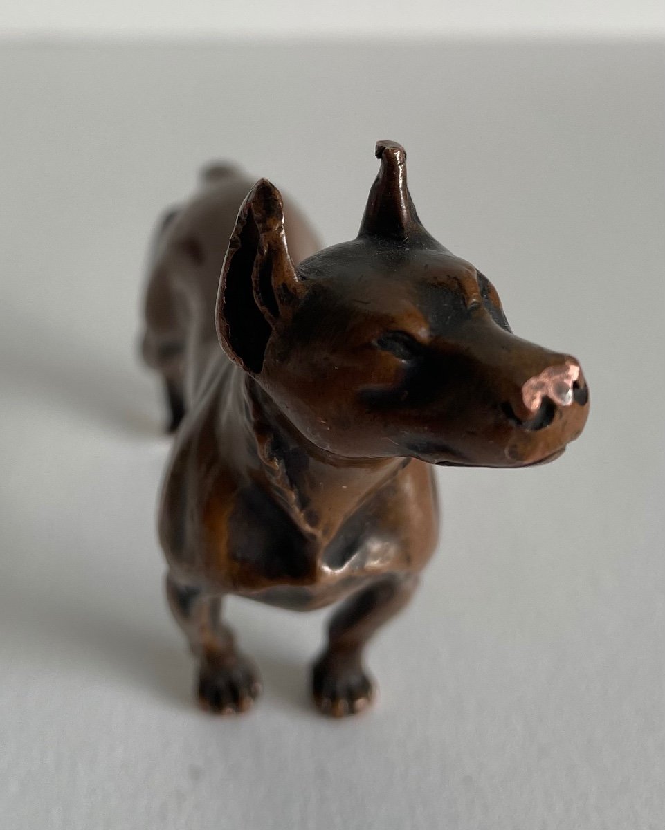 Bronze Subject Representing A Dog.-photo-4