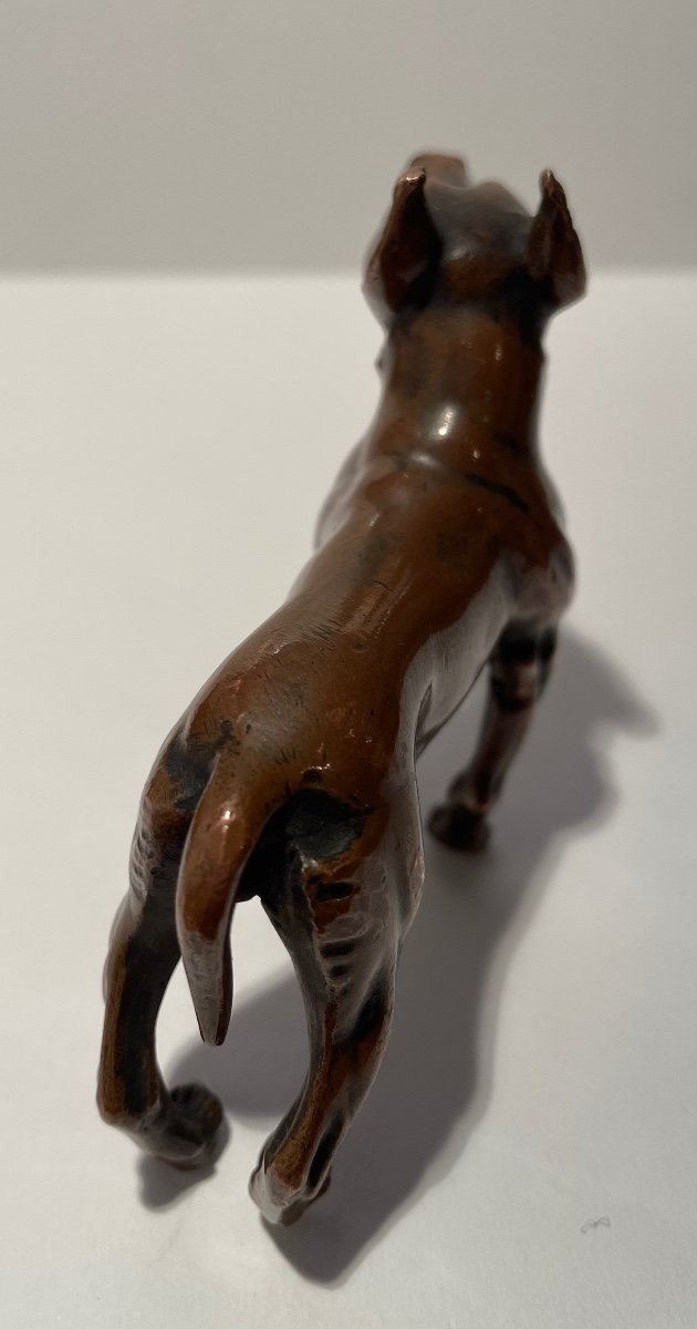 Bronze Subject Representing A Dog.-photo-1