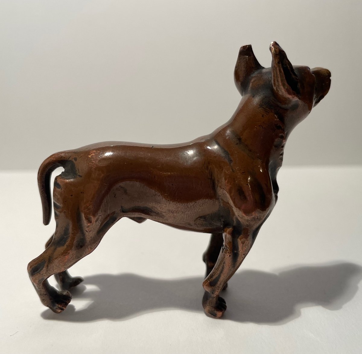 Bronze Subject Representing A Dog.-photo-2