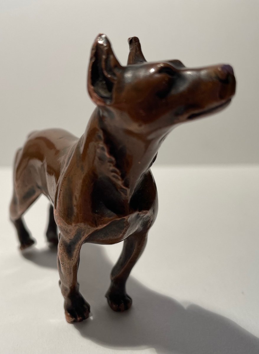 Bronze Subject Representing A Dog.-photo-3