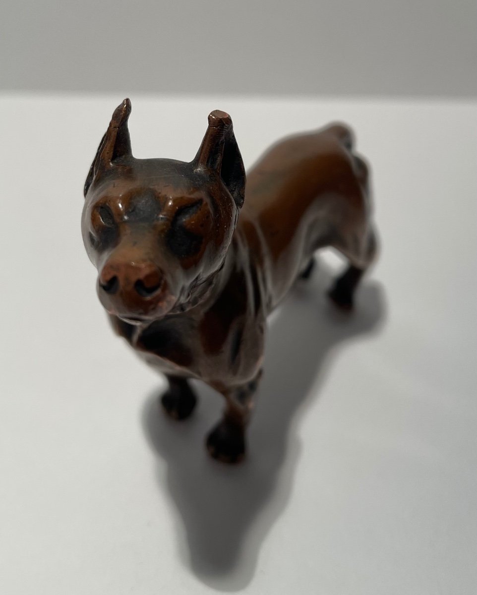 Bronze Subject Representing A Dog.-photo-4