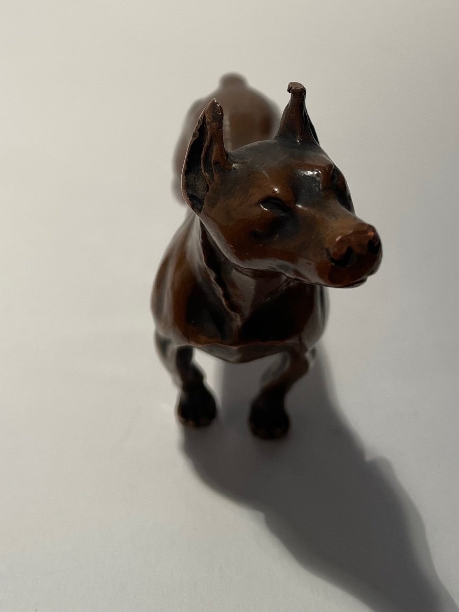 Bronze Subject Representing A Dog.-photo-5