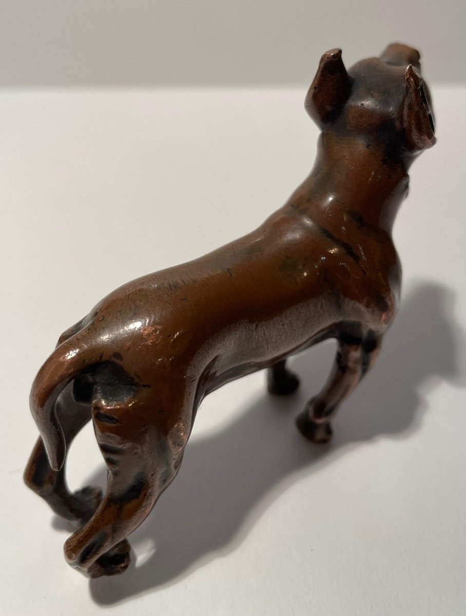 Bronze Subject Representing A Dog.-photo-7