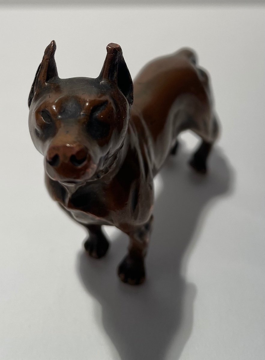 Bronze Subject Representing A Dog.-photo-8