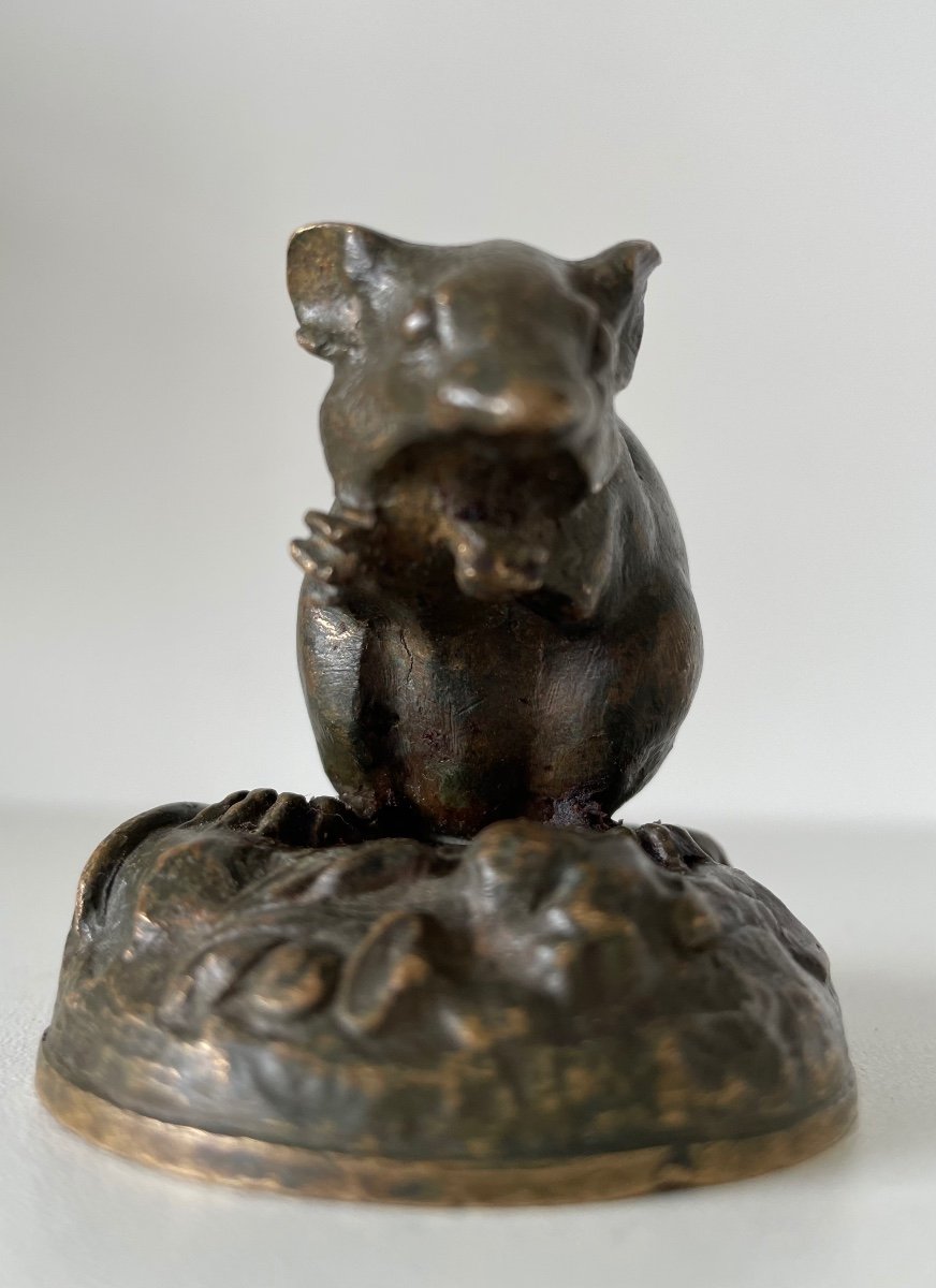 Little Bronze Mouse-photo-2