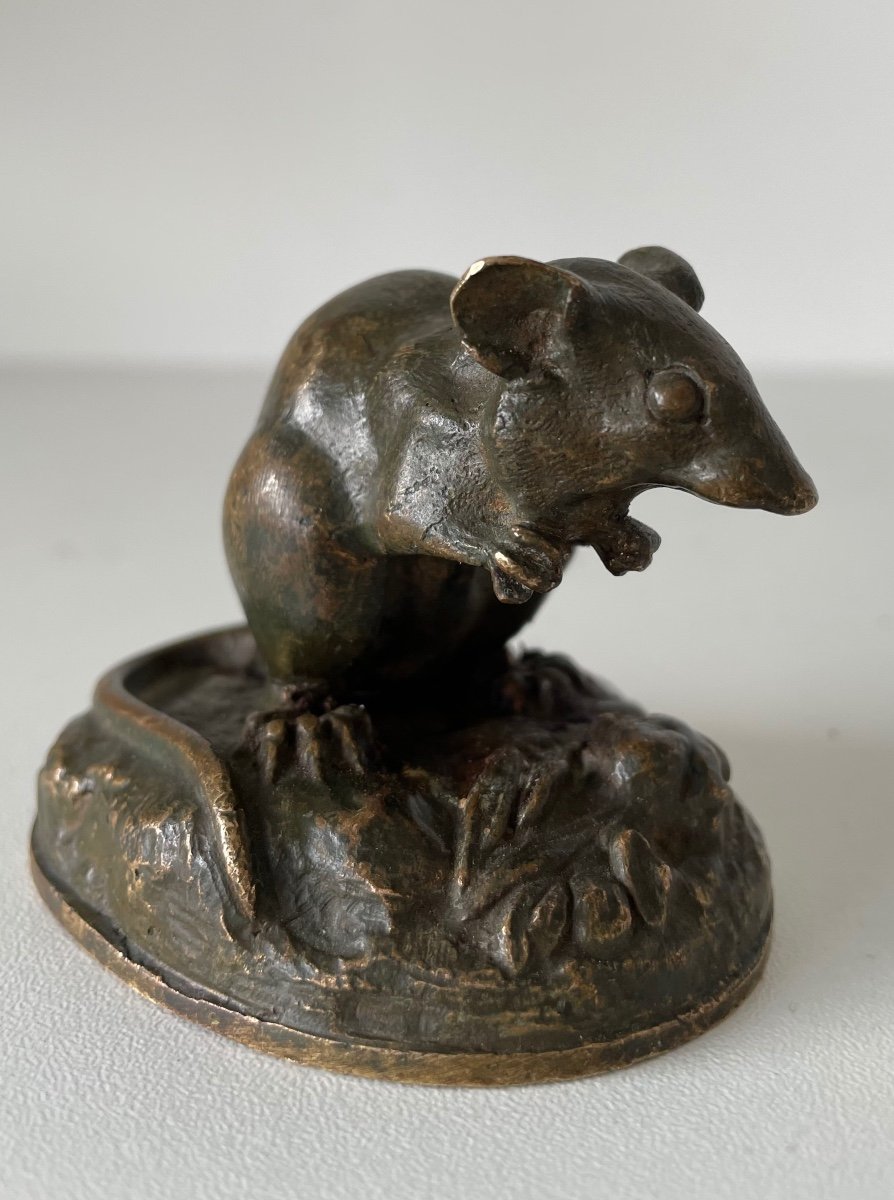 Little Bronze Mouse-photo-3