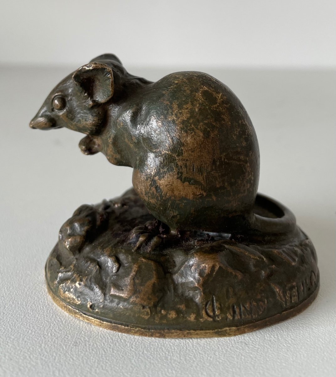 Little Bronze Mouse-photo-4