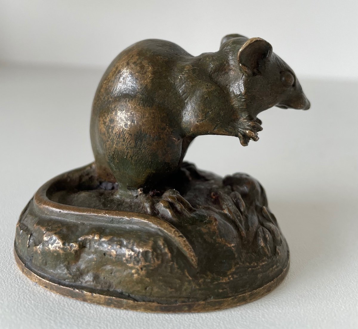 Little Bronze Mouse-photo-3