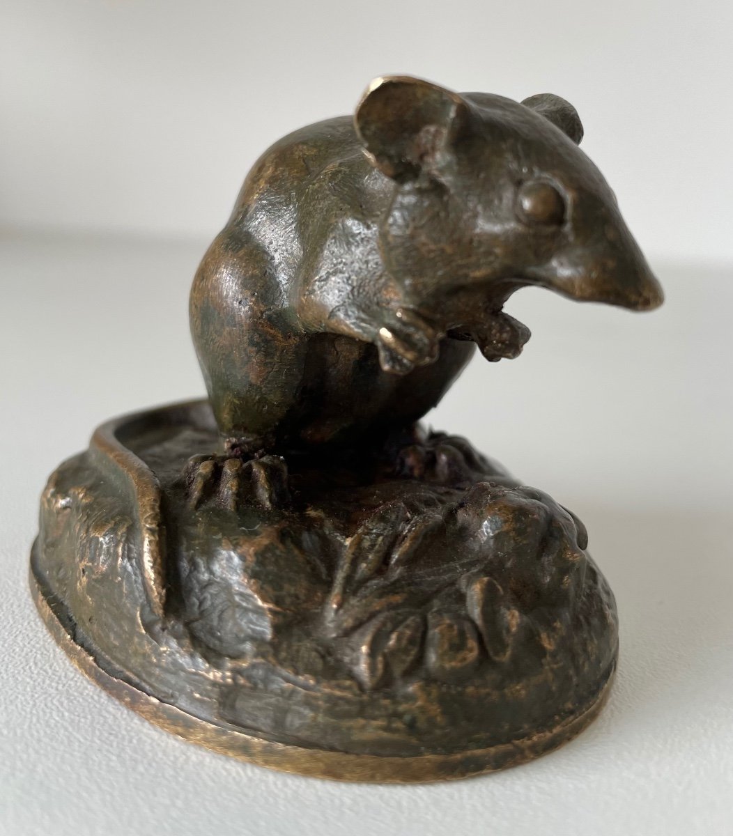 Little Bronze Mouse-photo-4