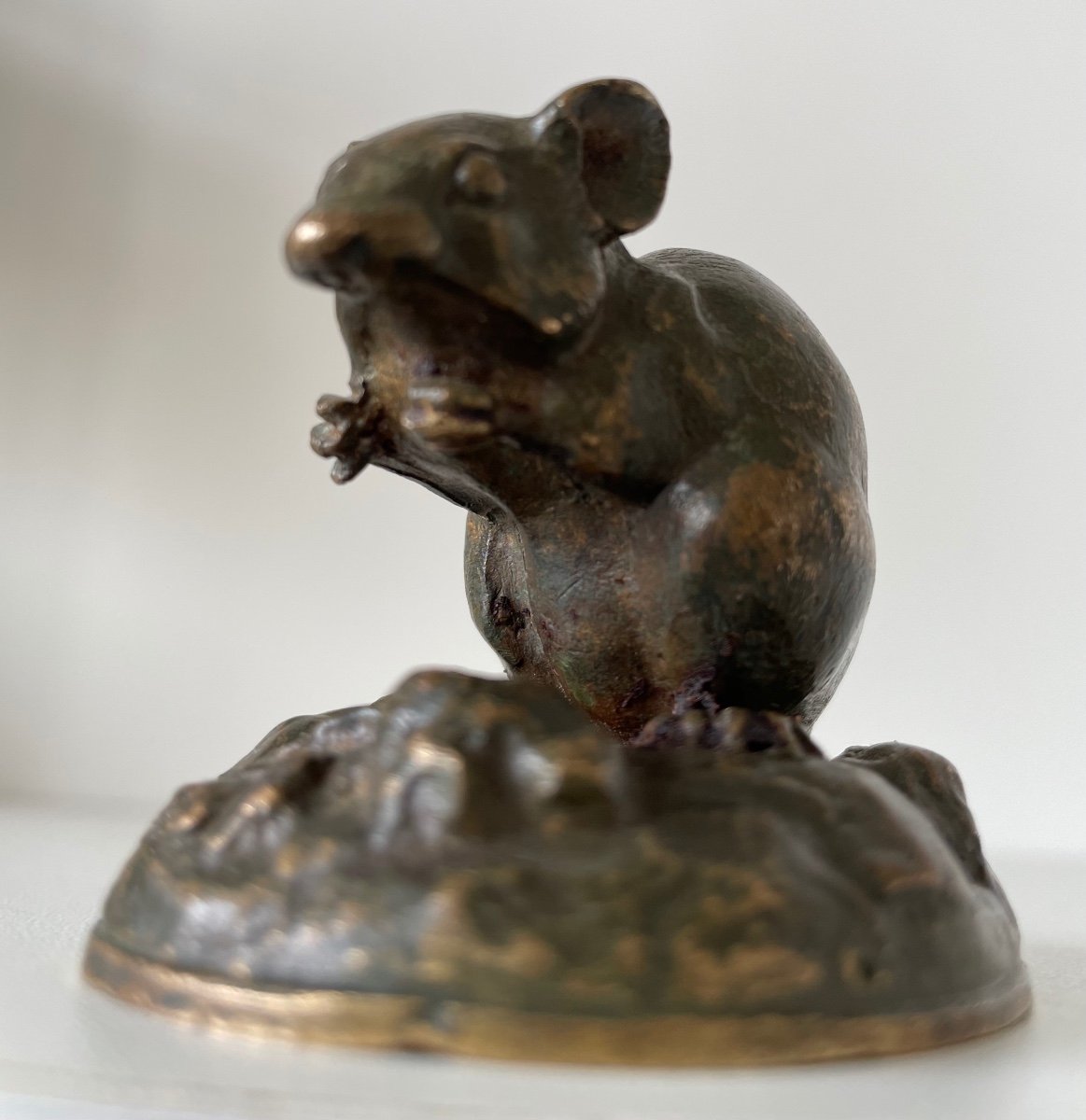 Little Bronze Mouse-photo-6