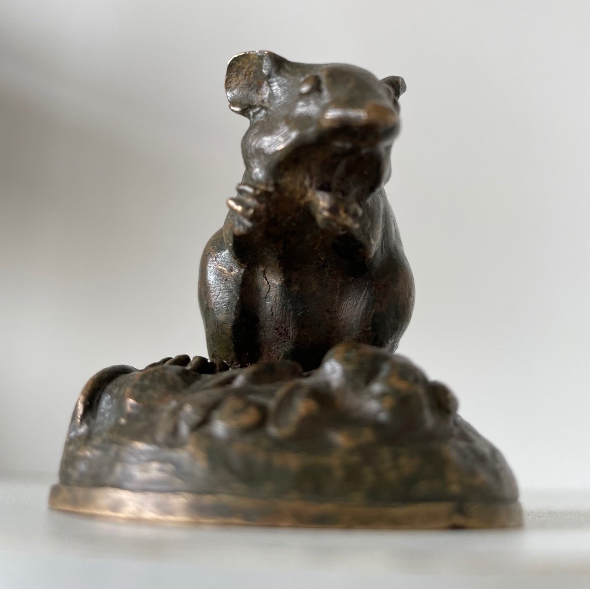 Little Bronze Mouse-photo-7