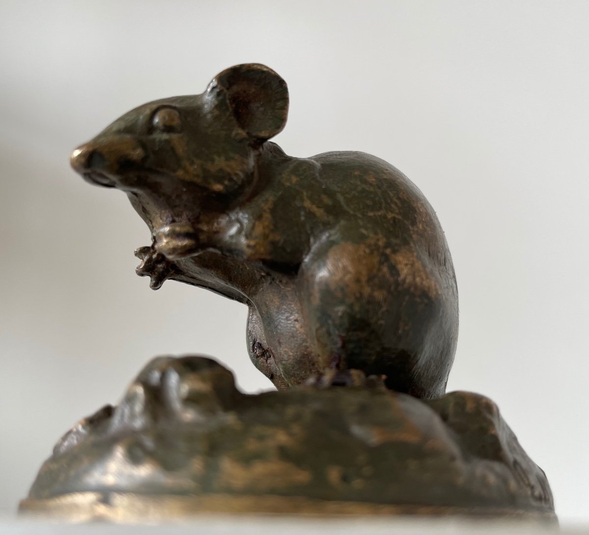 Little Bronze Mouse-photo-8