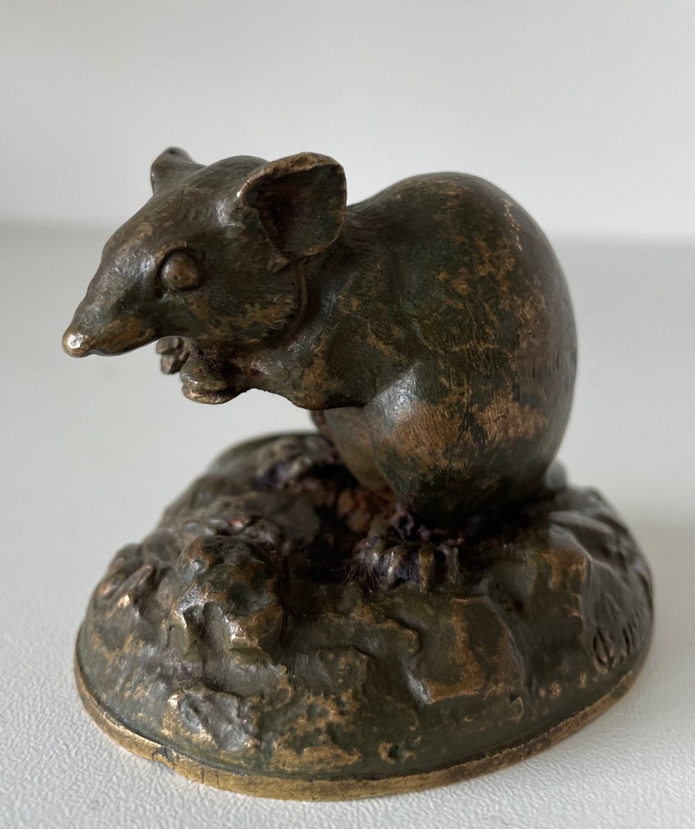 Little Bronze Mouse