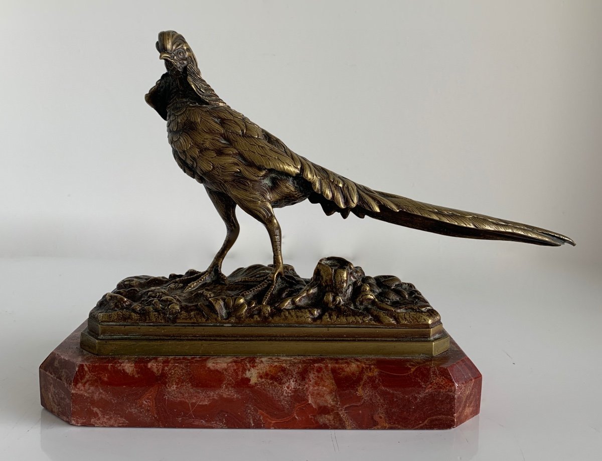 Bronze Subject Representing A Pheasant 