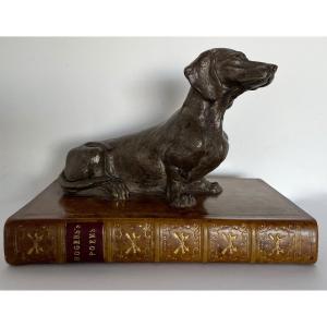 Dachshund Dog On Fake Electroplating Book