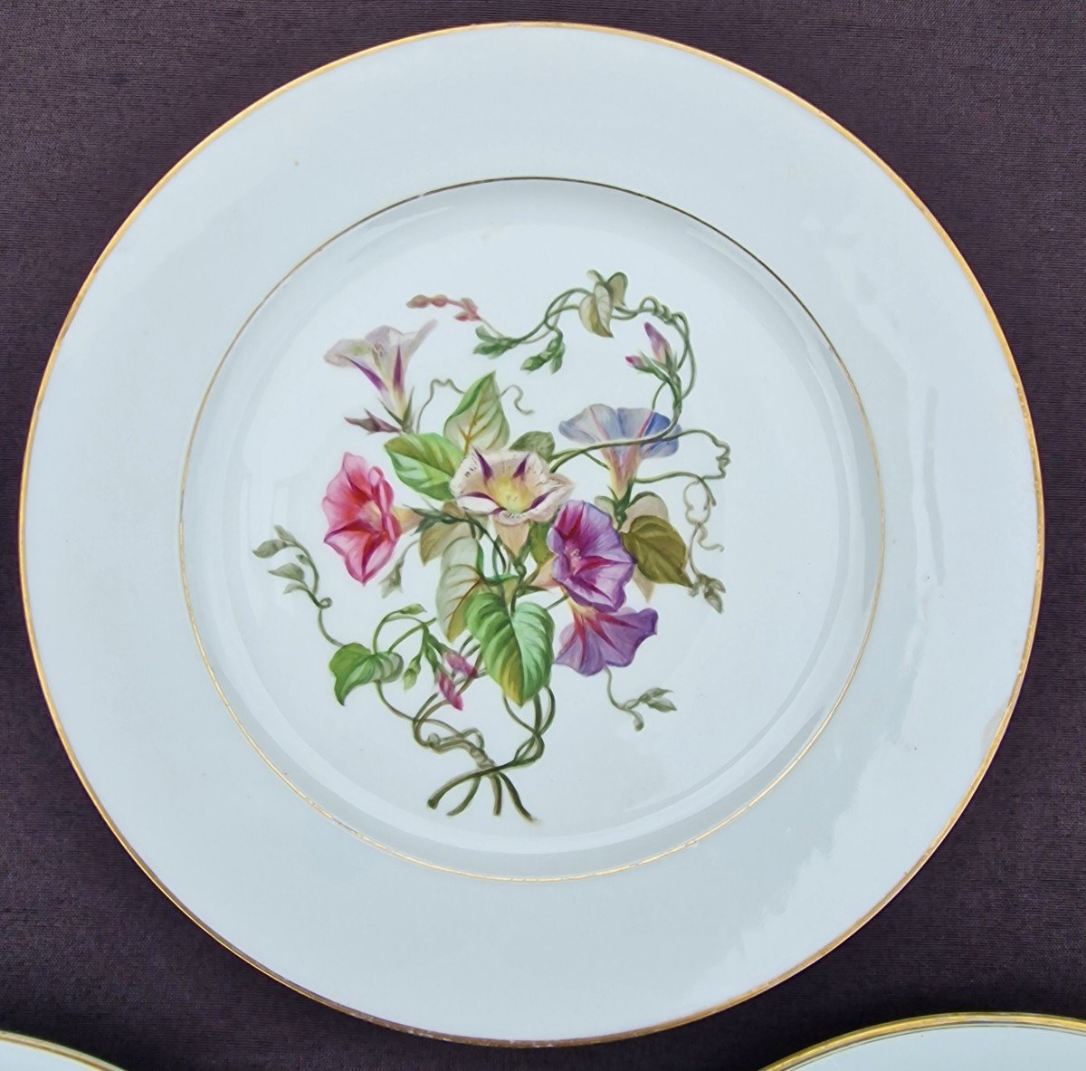 Lot Of 5 Sèvres Porcelain Plates From 1857 To 1864 Decorated With Bouquets Of Insect Flowers-photo-2
