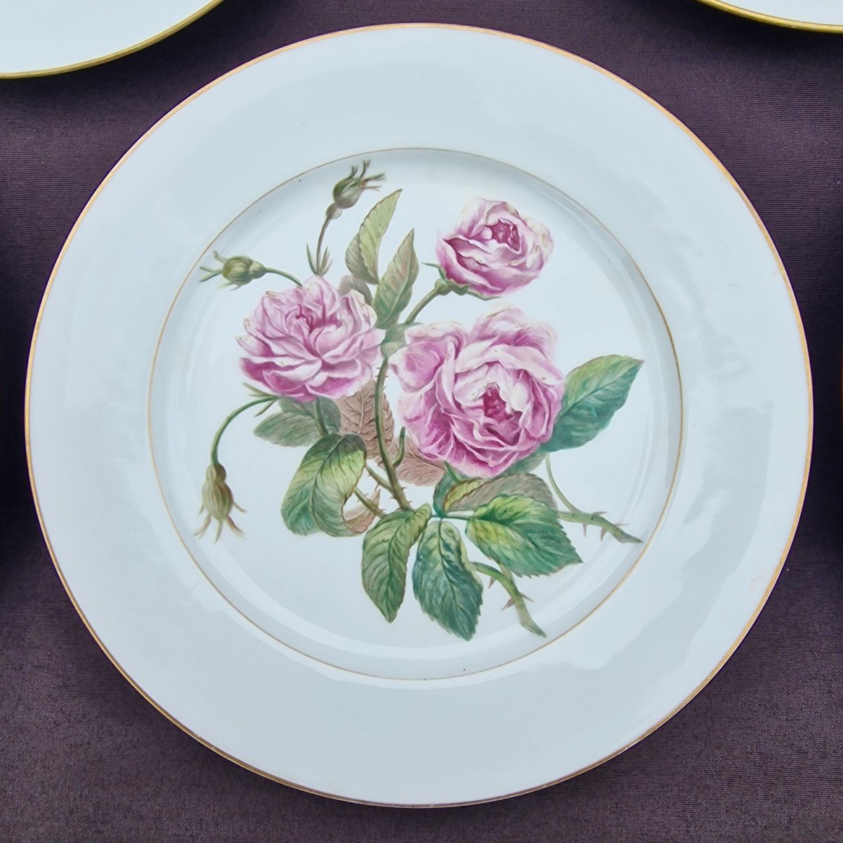 Lot Of 5 Sèvres Porcelain Plates From 1857 To 1864 Decorated With Bouquets Of Insect Flowers-photo-4