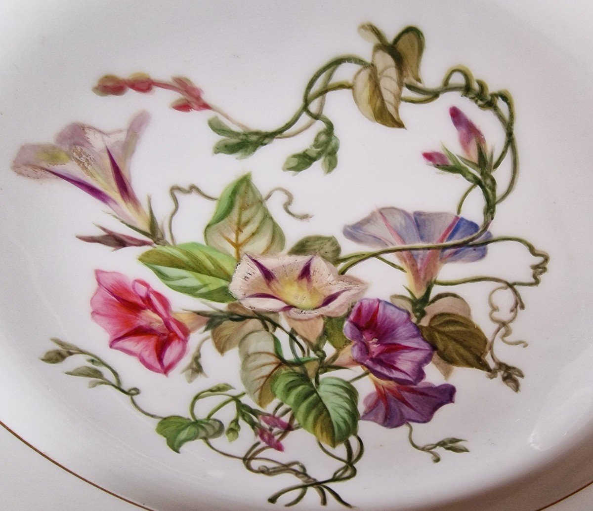 Lot Of 5 Sèvres Porcelain Plates From 1857 To 1864 Decorated With Bouquets Of Insect Flowers-photo-7