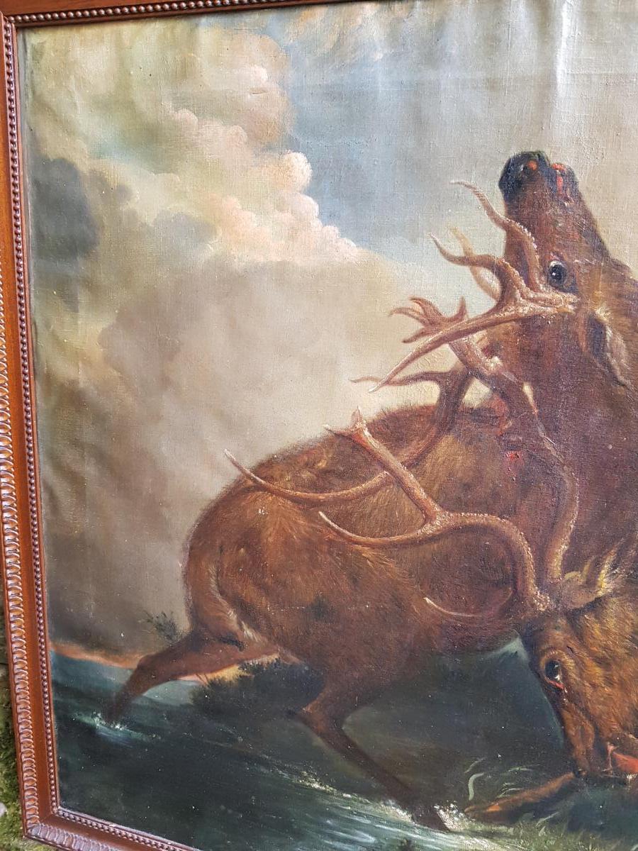 Table Drift 18th Combat Deer Follower Of Jean Baptiste Oudry-photo-4