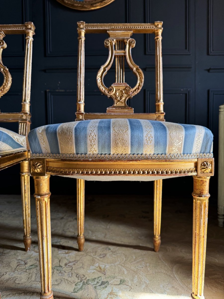 Pair Of Napoleon III Period Lyre Chairs In Gilded And Carved Wood In Louis XVI Style-photo-4