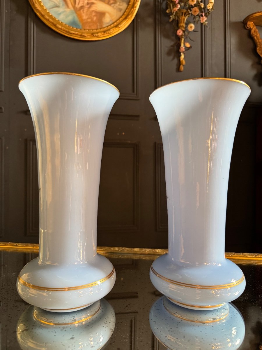 Paire De Vases D’époque Napoléon III En Opaline Bleu à Décor D’oiseaux -photo-7