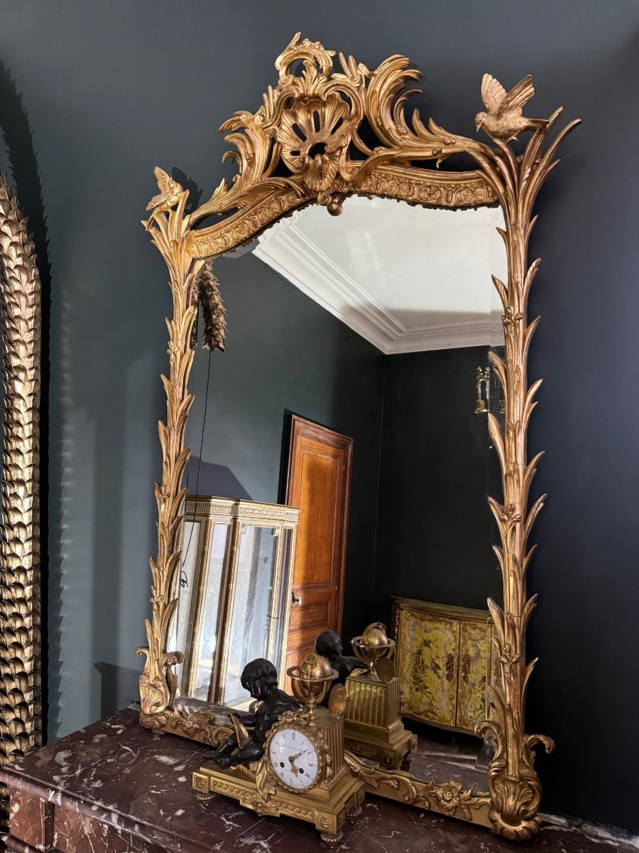 Miroir De Cheminée D’époque Napoléon III En Bois Doré à Décor De Palmes Et D’oiseaux - XIXe-photo-3