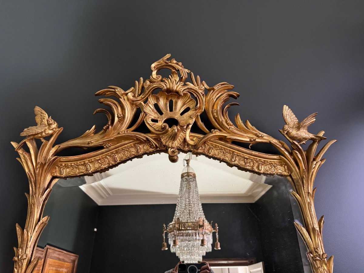 Miroir De Cheminée D’époque Napoléon III En Bois Doré à Décor De Palmes Et D’oiseaux - XIXe-photo-4