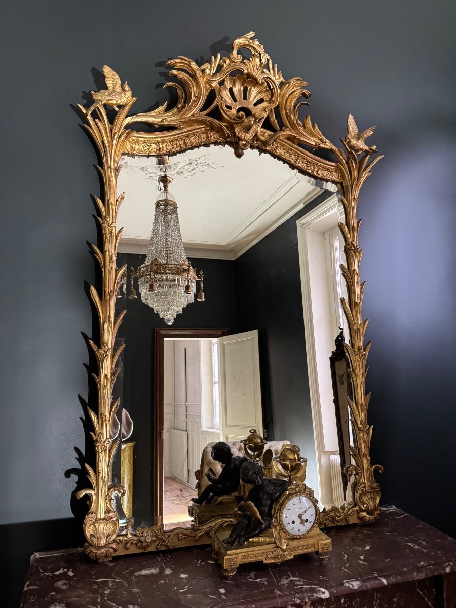 Miroir De Cheminée D’époque Napoléon III En Bois Doré à Décor De Palmes Et D’oiseaux - XIXe-photo-2