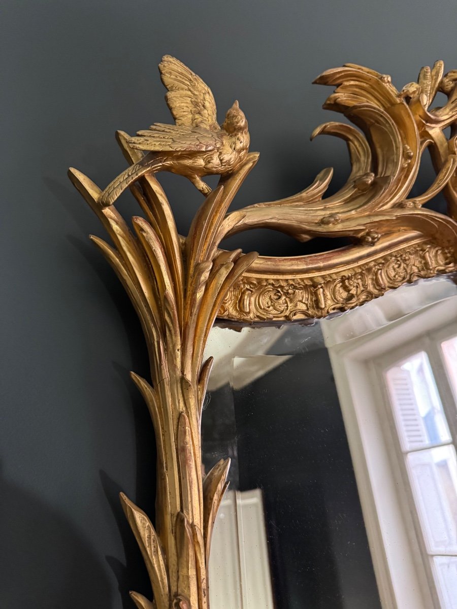 Miroir De Cheminée D’époque Napoléon III En Bois Doré à Décor De Palmes Et D’oiseaux - XIXe-photo-1