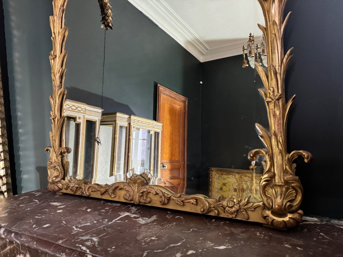 Miroir De Cheminée D’époque Napoléon III En Bois Doré à Décor De Palmes Et D’oiseaux - XIXe-photo-4