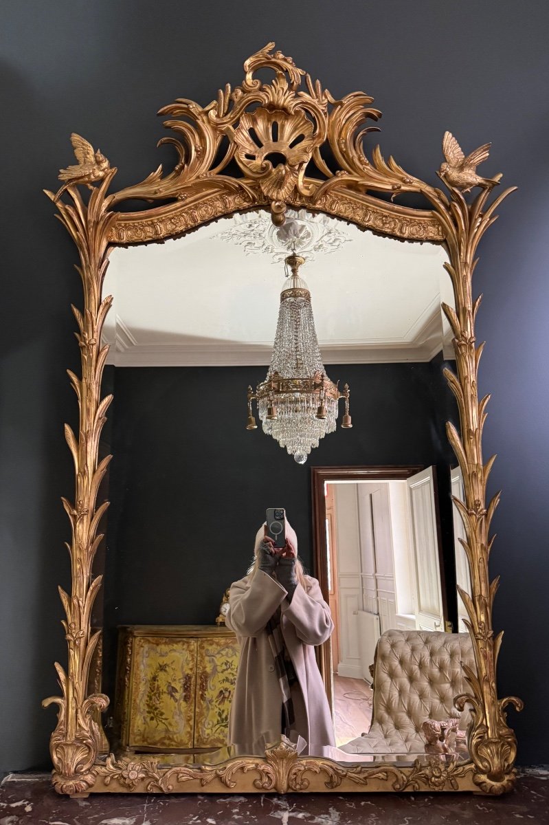 Miroir De Cheminée D’époque Napoléon III En Bois Doré à Décor De Palmes Et D’oiseaux - XIXe-photo-6