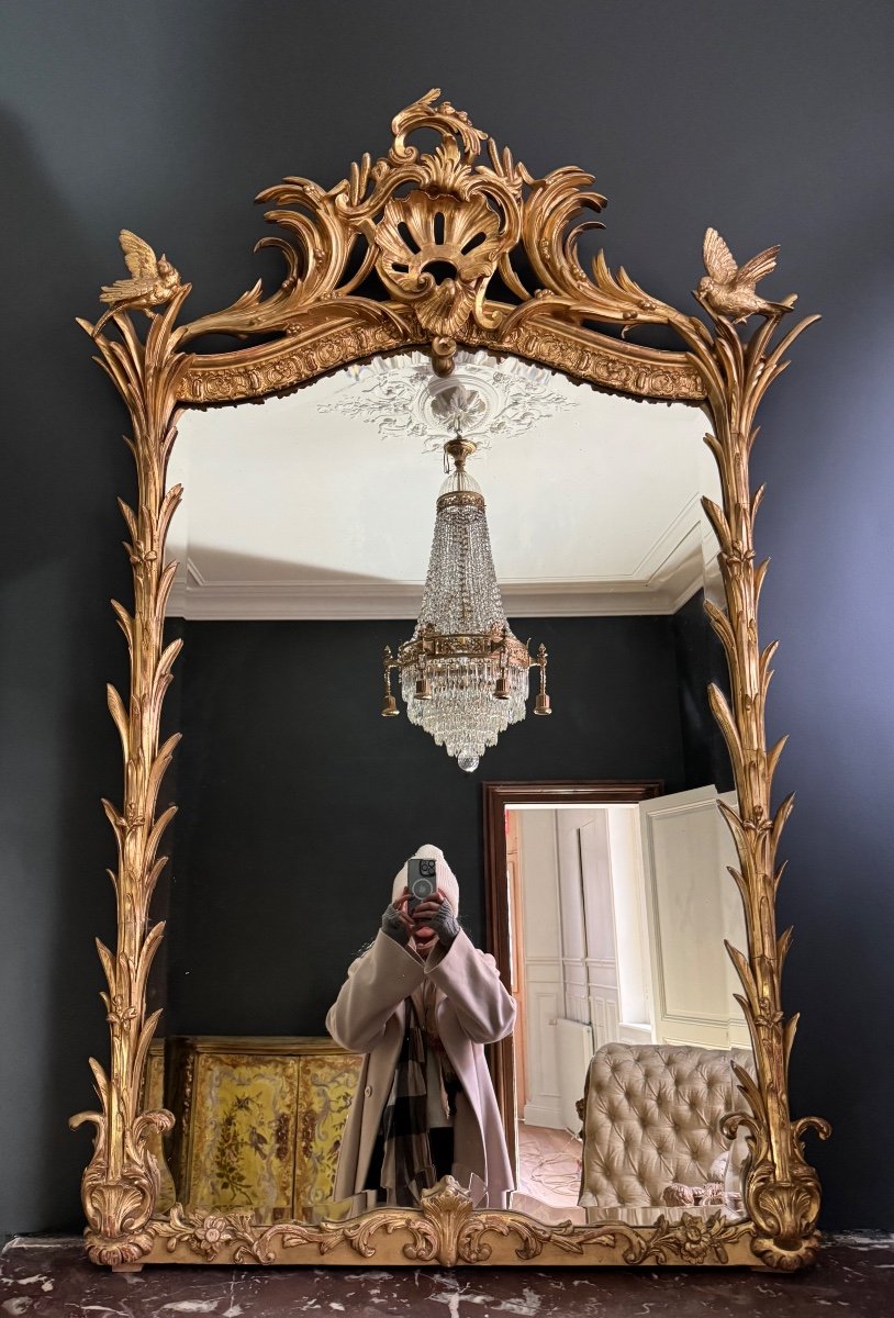 Miroir De Cheminée D’époque Napoléon III En Bois Doré à Décor De Palmes Et D’oiseaux - XIXe