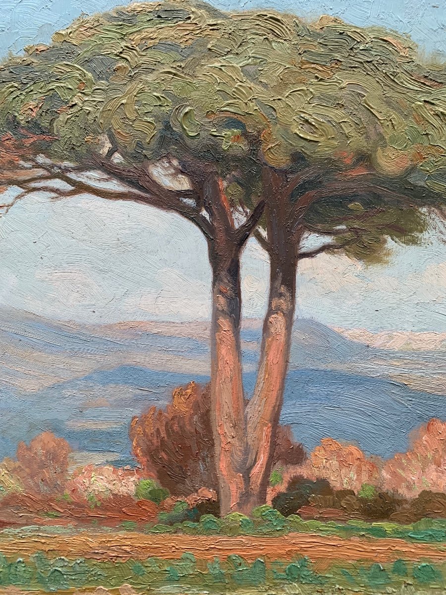 Mediterranean Landscape By Emmanuel Aubain -photo-2