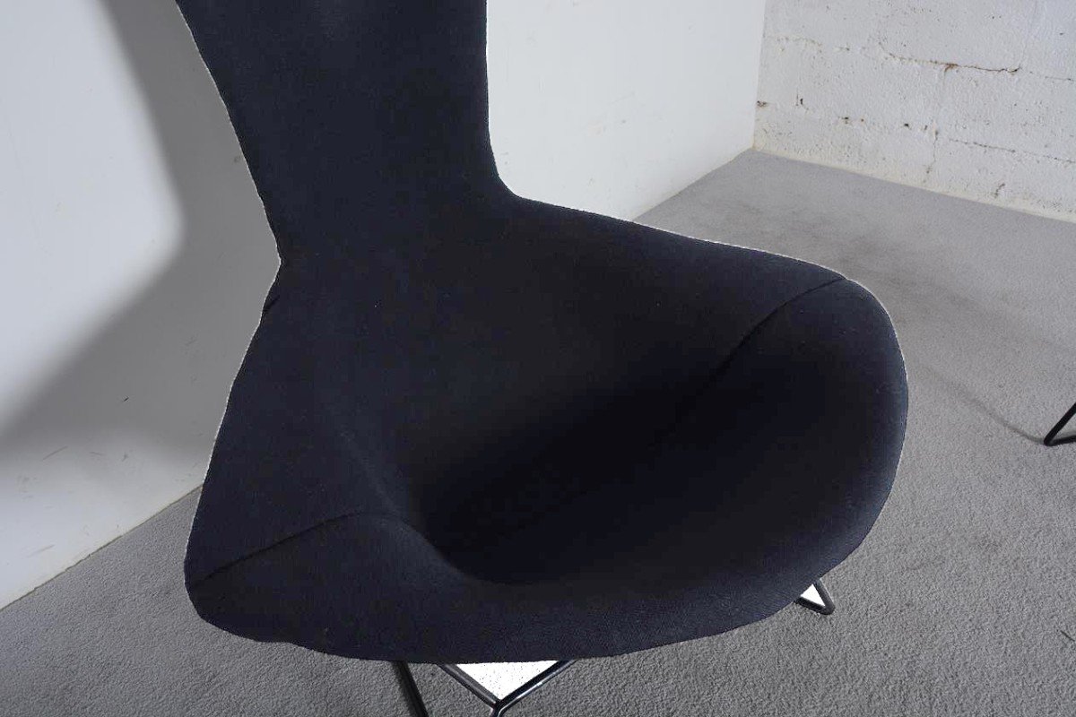 “bird Chair” Harry Bertoia For Knoll International Dating From The 70s.-photo-8