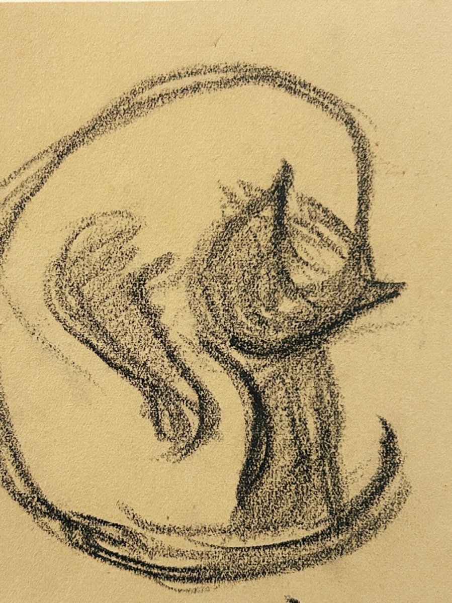 Victor Prouvé (1858-1943), Study Of A Cat Grooming Itself, Charcoal On Paper-photo-2