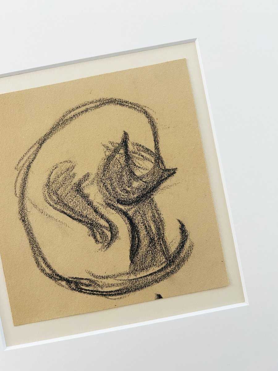 Victor Prouvé (1858-1943), Study Of A Cat Grooming Itself, Charcoal On Paper-photo-3