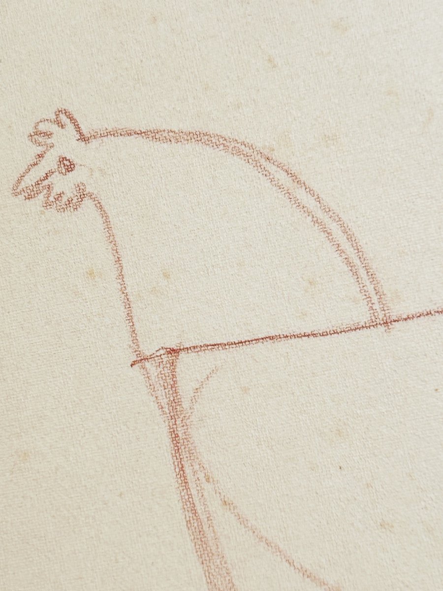 André Derain (1880-1954), Study Of A Hen, Red Chalk On Paper-photo-1