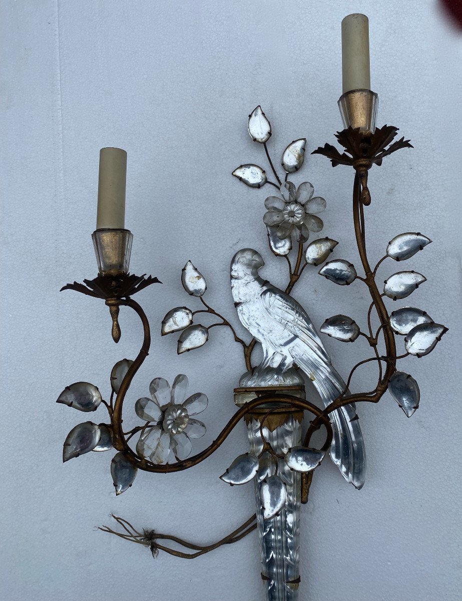 1950/70 ′ Pair Of Wall Lights With The Parakeet Placed On A Sheath, Maison Baguès H 63 Cm-photo-3