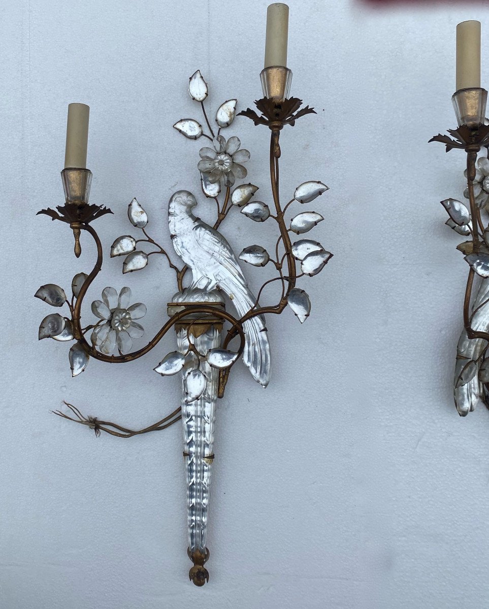 1950/70 ′ Pair Of Wall Lights With The Parakeet Placed On A Sheath, Maison Baguès H 63 Cm-photo-4