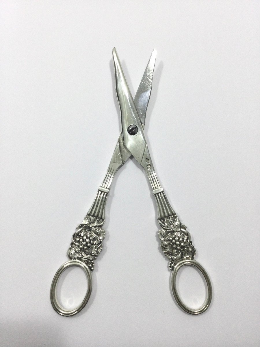 Pierre Queille - Pair Of Silver Grape Scissors-photo-4