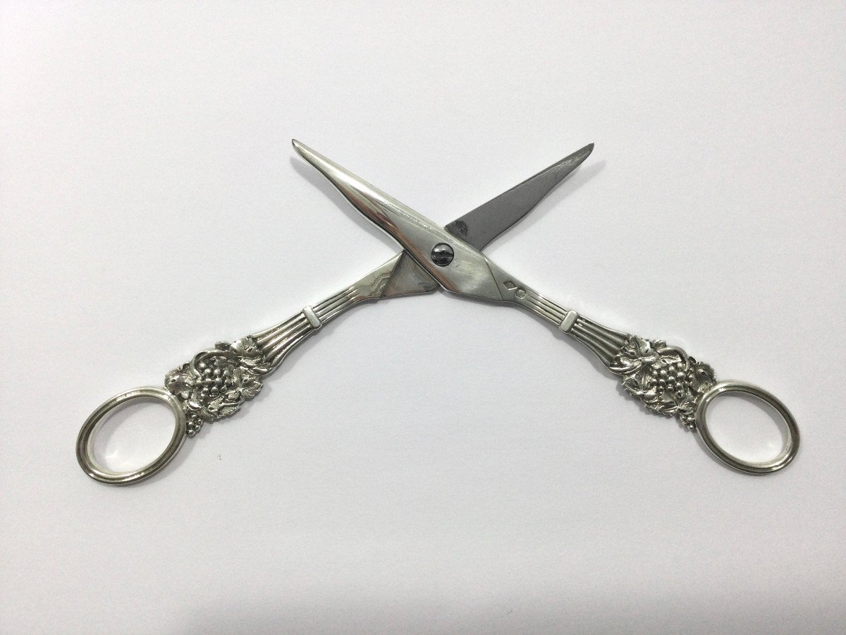 Pierre Queille - Pair Of Silver Grape Scissors-photo-1